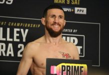 Merab Dvalishvili, UFC