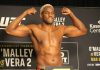Robelis Despaigne, UFC
