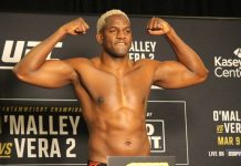 Robelis Despaigne, UFC