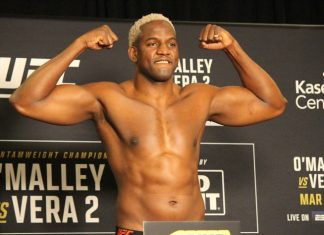 Robelis Despaigne, UFC