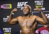 Robelis Despaigne, UFC