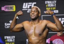 Robelis Despaigne, UFC