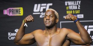 Robelis Despaigne, UFC