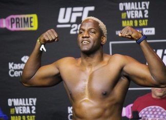 Robelis Despaigne, UFC