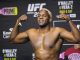 Robelis Despaigne, UFC