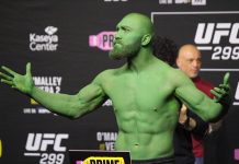 Ion Cutelaba UFC