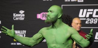 Ion Cutelaba UFC