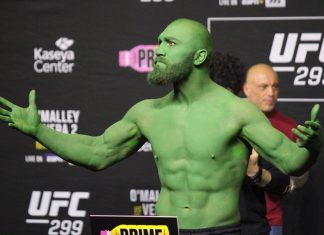 Ion Cutelaba UFC