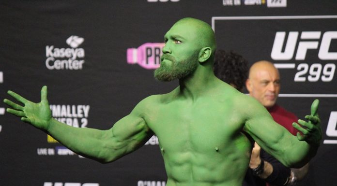 Ion Cutelaba UFC