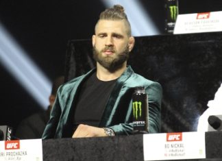 Jiri Prochazka, UFC