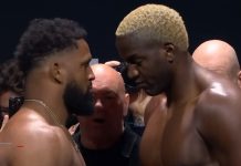 Waldo Cortes-Acosta vs. Robelis Despaigne, UFC St. Louis