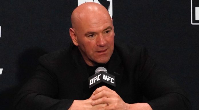 Dana White, UFC 302