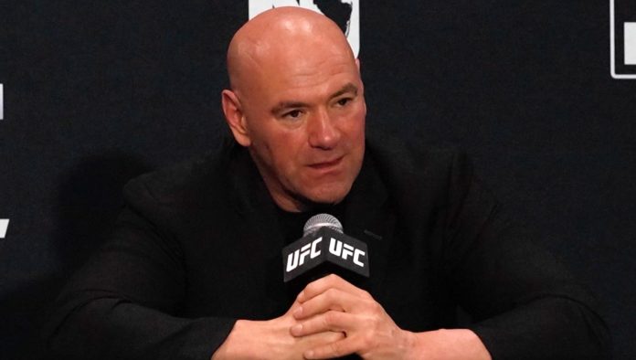 Dana White, UFC 302