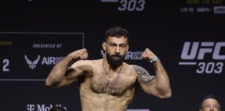 Roman Dolidze, UFC