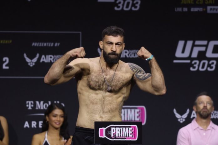Roman Dolidze, UFC