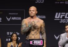 Anthony Smith, UFC