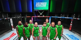 The Ultimate Fighter 32 team shevchenko UFC