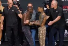 William Gomis vs Joanderson Brito, UFC Paris