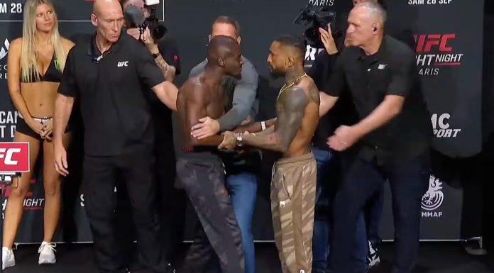 William Gomis vs Joanderson Brito, UFC Paris