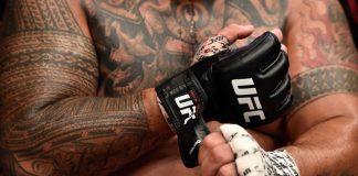 UFC gloves