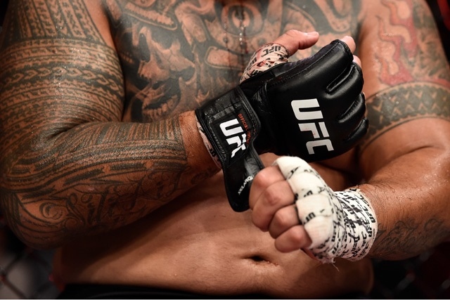 UFC gloves