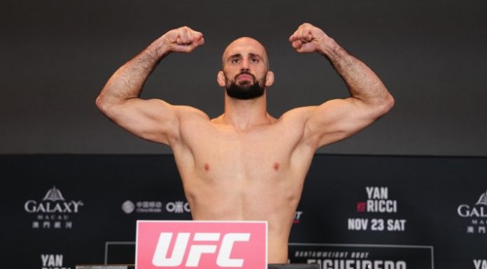Volkan Oezdemir, UFC