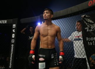 Yuya Wakamatsu, ONE Championship