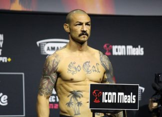 Cub Swanson, UFC