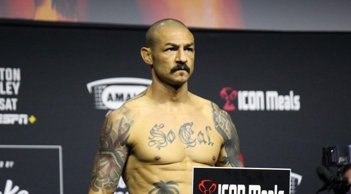 Cub Swanson, UFC