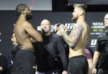 Kennedy Nzechukwu and Lukasz Brzeski, UFC 310