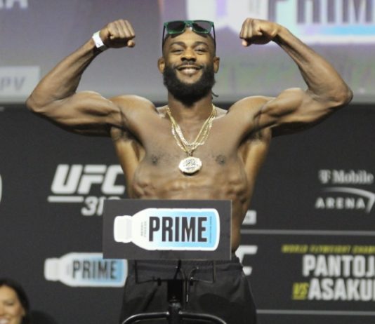 Aljamain Sterling, UFC