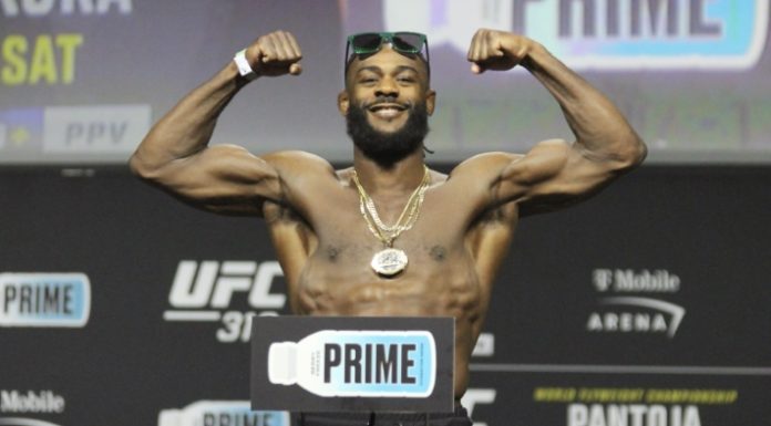 Aljamain Sterling, UFC