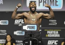 Aljamain Stirling UFC