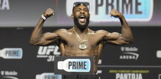 Aljamain Stirling UFC