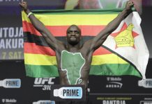Themba Gorimbo, UFC