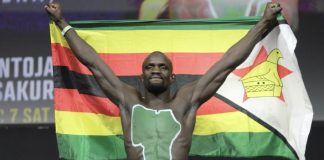 Themba Gorimbo, UFC