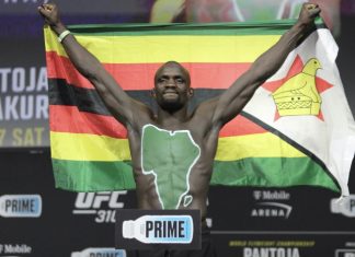 Themba Gorimbo, UFC