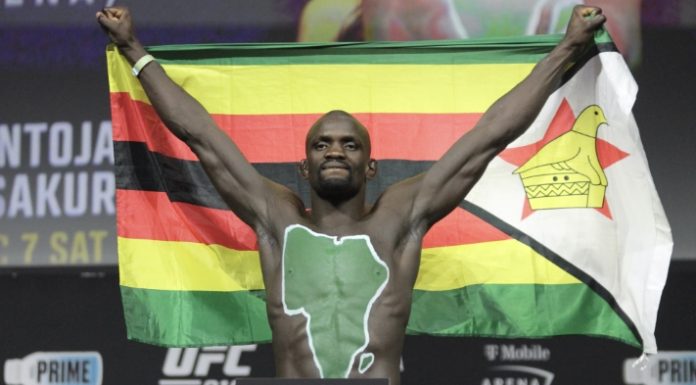 Themba Gorimbo, UFC
