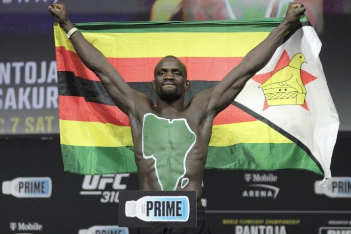 Themba Gorimbo, UFC