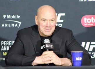 Dana White, UFC 313