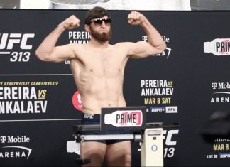 Magomed Ankalaev, UFC