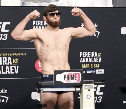 Magomed Ankalaev, UFC