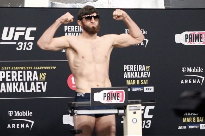 Magomed Ankalaev, UFC