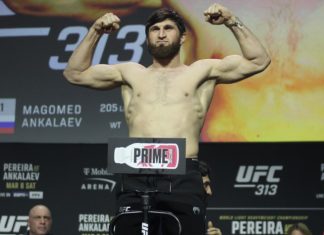 Magomed Ankalaev, UFC 313