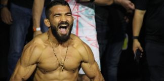 Patricio Pitbull, UFC