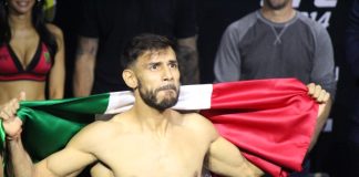 Yair Rodriguez, UFC