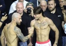 Alexander Volkanovski and Diego Lopes, UFC