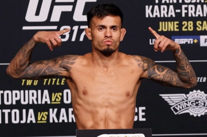 Brandon Royval, UFC 317