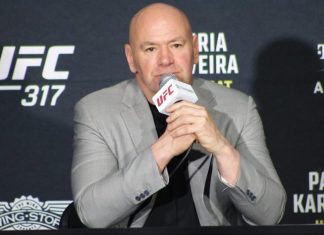 Dana White, UFC 317
