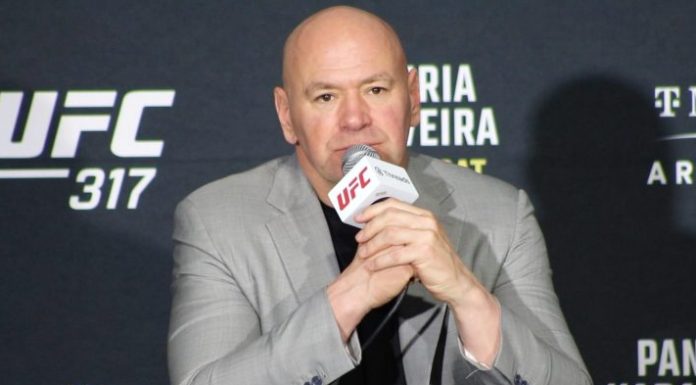 Dana White, UFC 317